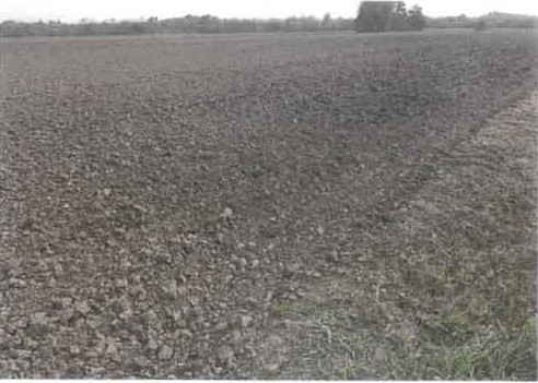 DRAŽBA ID. 1/5 ORNÁ PŮDA A TRVALÝ TRAVNÍ POROST V