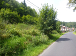 pozemek v k.ú. Nejdek, okr. Karlovy Vary, LV 4380