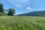Dražba orné půdy v k.ú. Čkyně, okr. Prachatice
